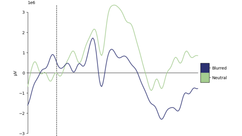 Mind the Visual Discomfort: Assessing Event-Related Potentials as Indicators for Visual Strain in Head-Mounted Displays